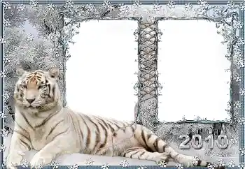 Photo effect from category Different № 45917