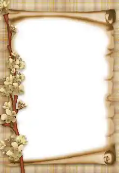 Photo effect from category Different № 47303