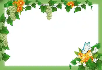 Photo effect from category Different № 49547