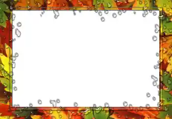 Photo effect from category Different № 49551