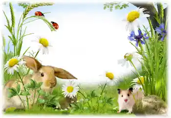 Photo effect from category Different № 50899