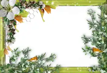 Photo effect from category Different № 52034