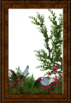 Photo effect from category Different № 52231