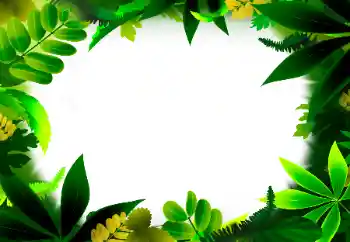 Photo effect from category Different № 56530