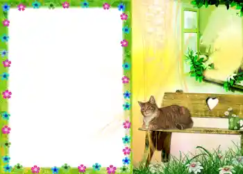 Photo effect from category Different № 579