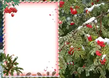 Photo effect from category Different № 581