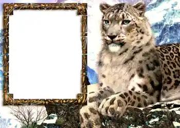 Photo effect from category Different № 585