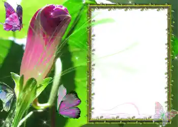 Photo effect from category Different № 586