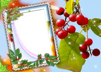 Photo effect from category Different № 587