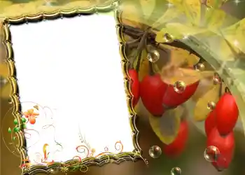 Photo effect from category Different № 588