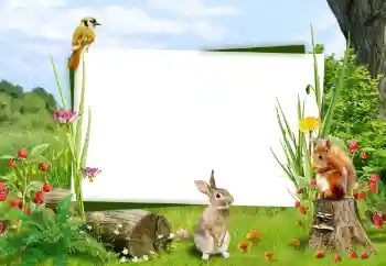 Photo effect from category Different № 59008