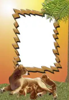 Photo effect from category Different № 62681