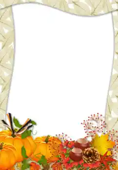 Photo effect from category Different № 62794