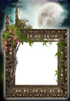 Photo effect from category Different № 64455