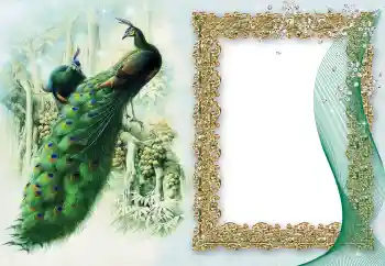 Photo effect from category Different № 64460