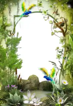 Photo effect from category Different № 64461