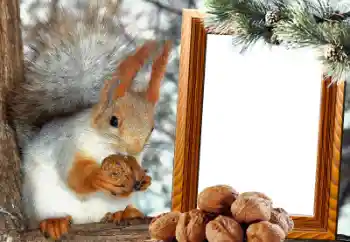 Photo effect from category Different № 65737