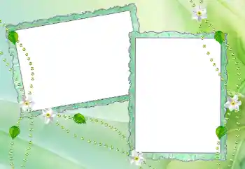 Photo effect from category Different № 65884