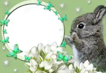 Photo effect from category Different № 67247