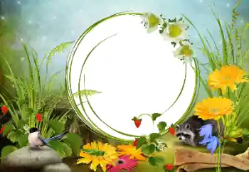 Photo effect from category Different № 68455