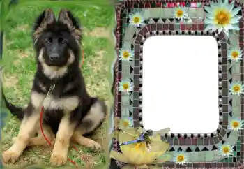 Photo effect from category Different № 68616