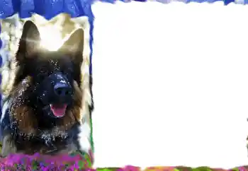 Photo effect from category Different № 68617