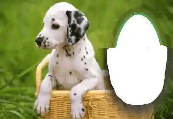 Photo effect from category Different № 68648