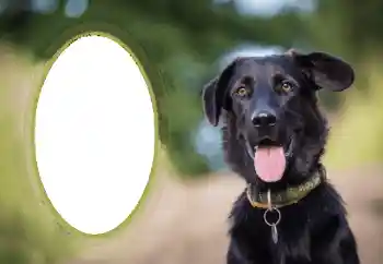 Photo effect from category Different № 68649