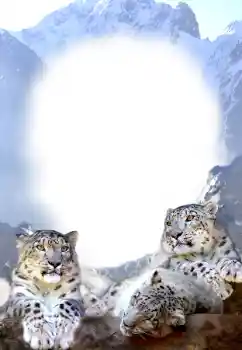 Photo effect from category Different № 68679