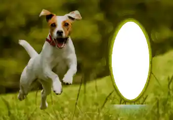 Photo effect from category Different № 68744