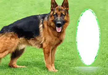 Photo effect from category Different № 68745