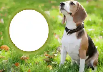 Photo effect from category Different № 68749 Photo effect from category Different № 68749