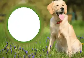 Photo effect from category Different № 68752 Photo effect from category Different № 68752