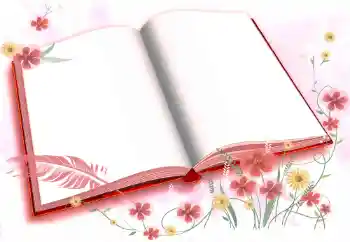 Photo effect from category Different № 72457 Photo effect from category Different № 72457