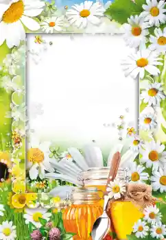 Photo effect from category Different № 73499 Photo effect from category Different № 73499