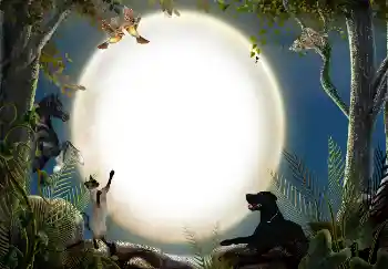 Photo effect from category Different № 7470