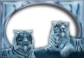 Photo effect from category Different № 7517