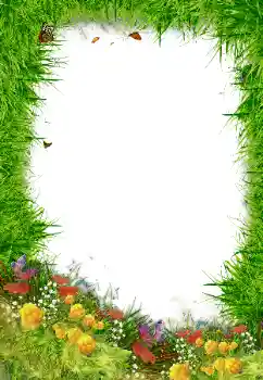 Photo effect from category Different № 80192