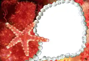 Photo effect from category Different № 80293