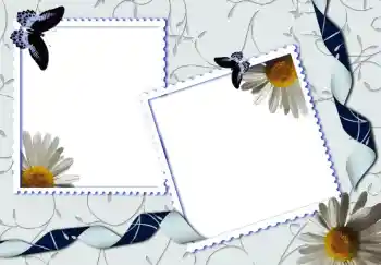 Photo effect from category Different № 80319