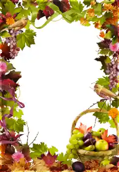 Photo effect from category Different № 81650 Photo effect from category Different № 81650