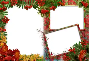 Photo effect from category Different № 83986