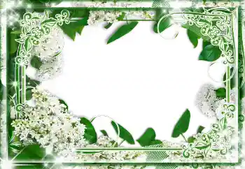 Photo effect from category Different № 85233 Photo effect from category Different № 85233