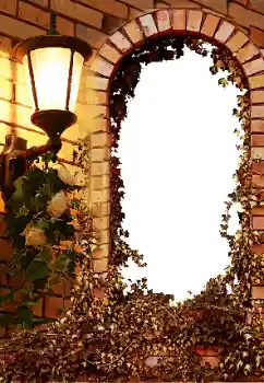 Photo effect from category Different № 8595