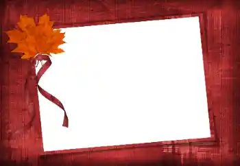 Photo effect from category Different № 86582