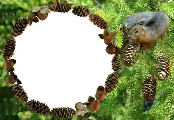 Photo effect from category Different № 8682