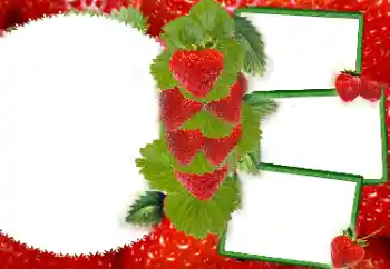 Photo effect from category Different № 8738