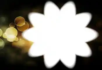 Photo effect from category Different № 88034