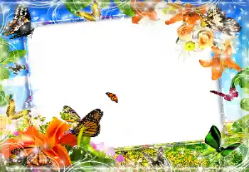 Photo effect from category Different № 89452 Photo effect from category Different № 89452