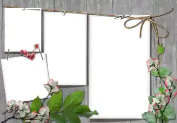 Photo effect from category Different № 91740